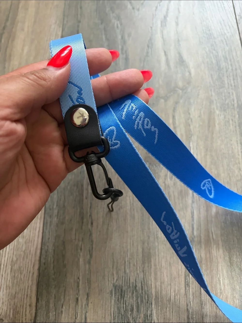 LV * Ribbon Blue Lanyard